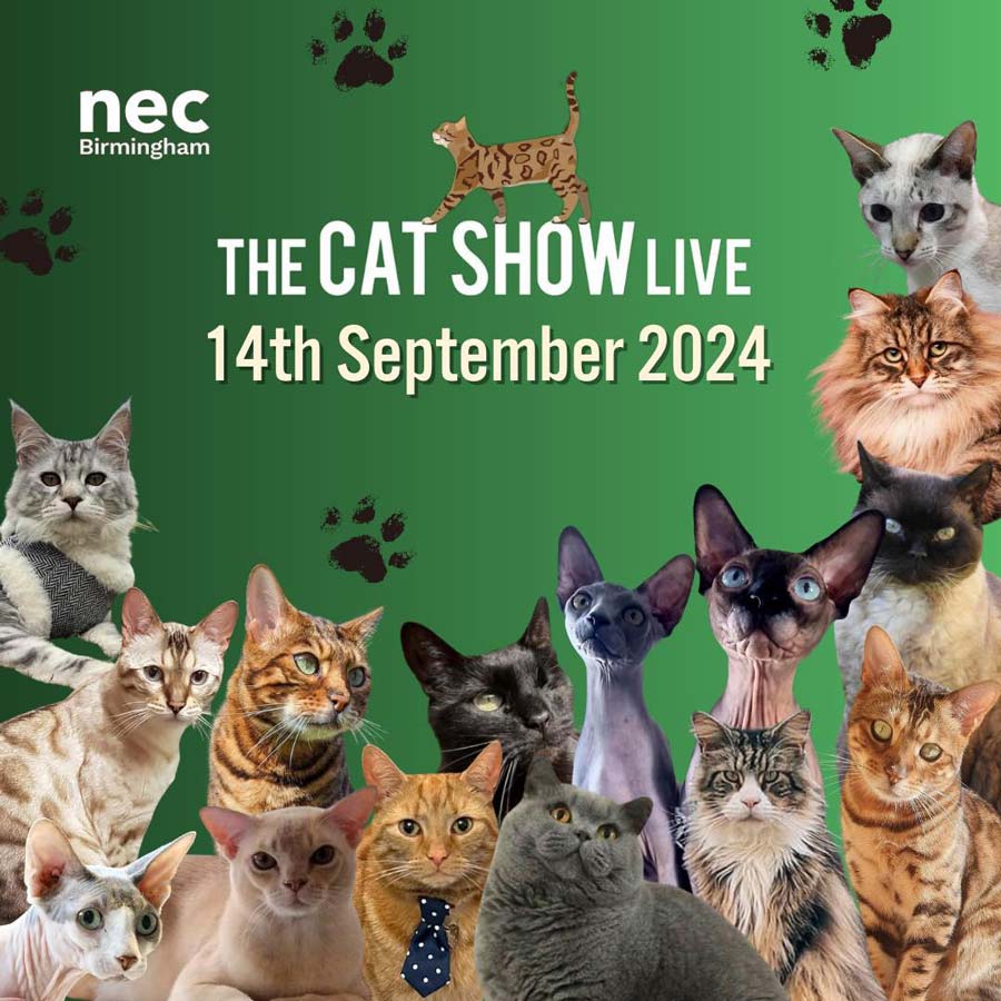 The Cat Show LiveThe Cat Show Live