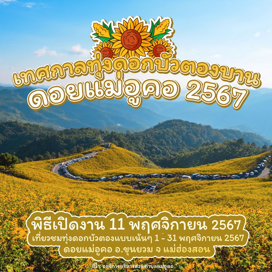เทศกาลดอกบัวตองบานบนดอยแม่อูคอ 2567 