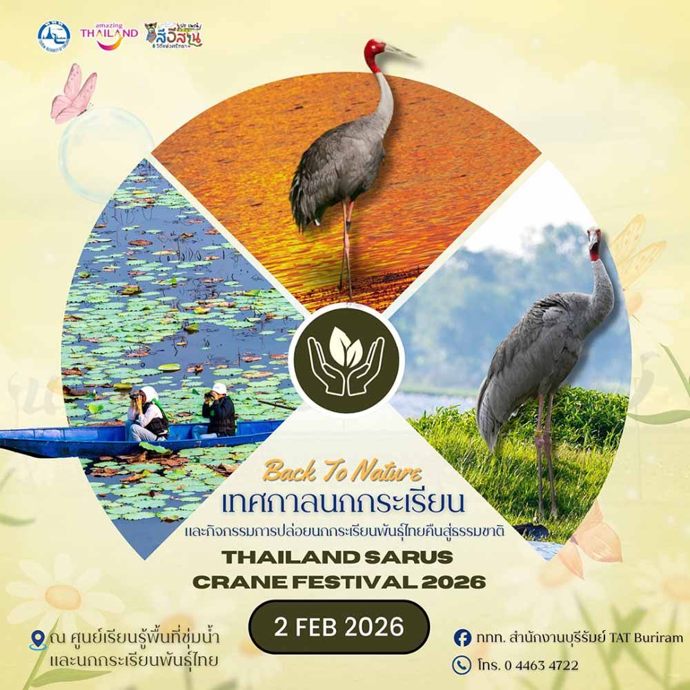 เทศกาลนกกระเรียน 2569