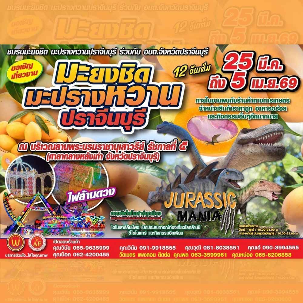 มะยงชิด มะปรางหวาน ปราจีนบุรี ประจำปี 2569