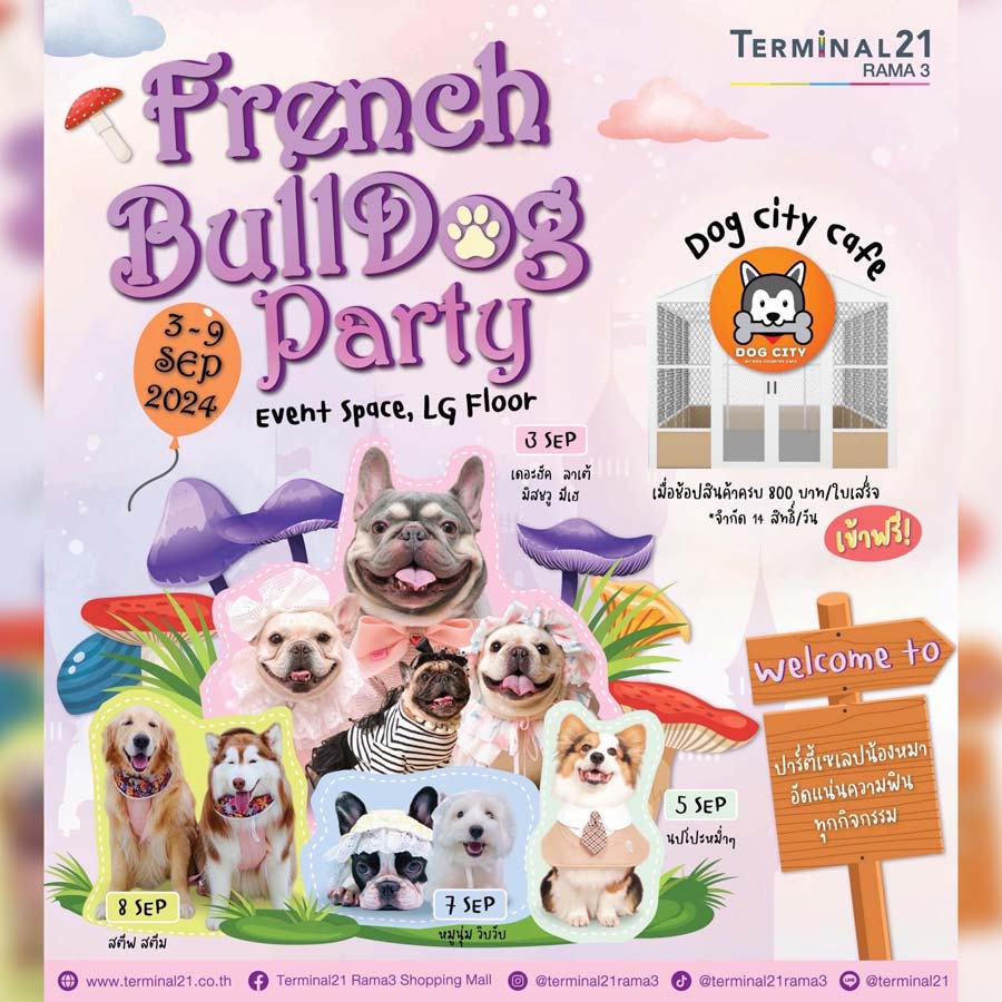 French Bulldog Party