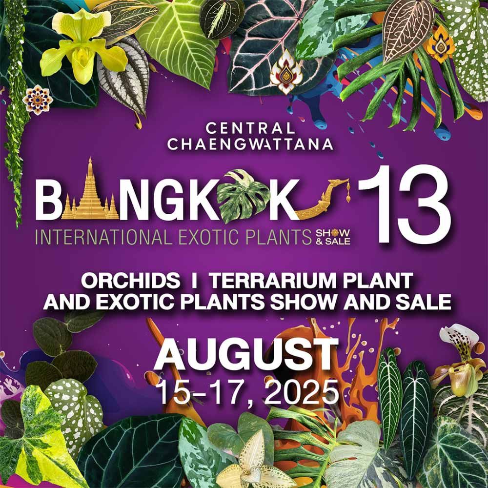 BANGKOK INTERNATIONAL EXOTIC PLANTS SHOW & SALE 13