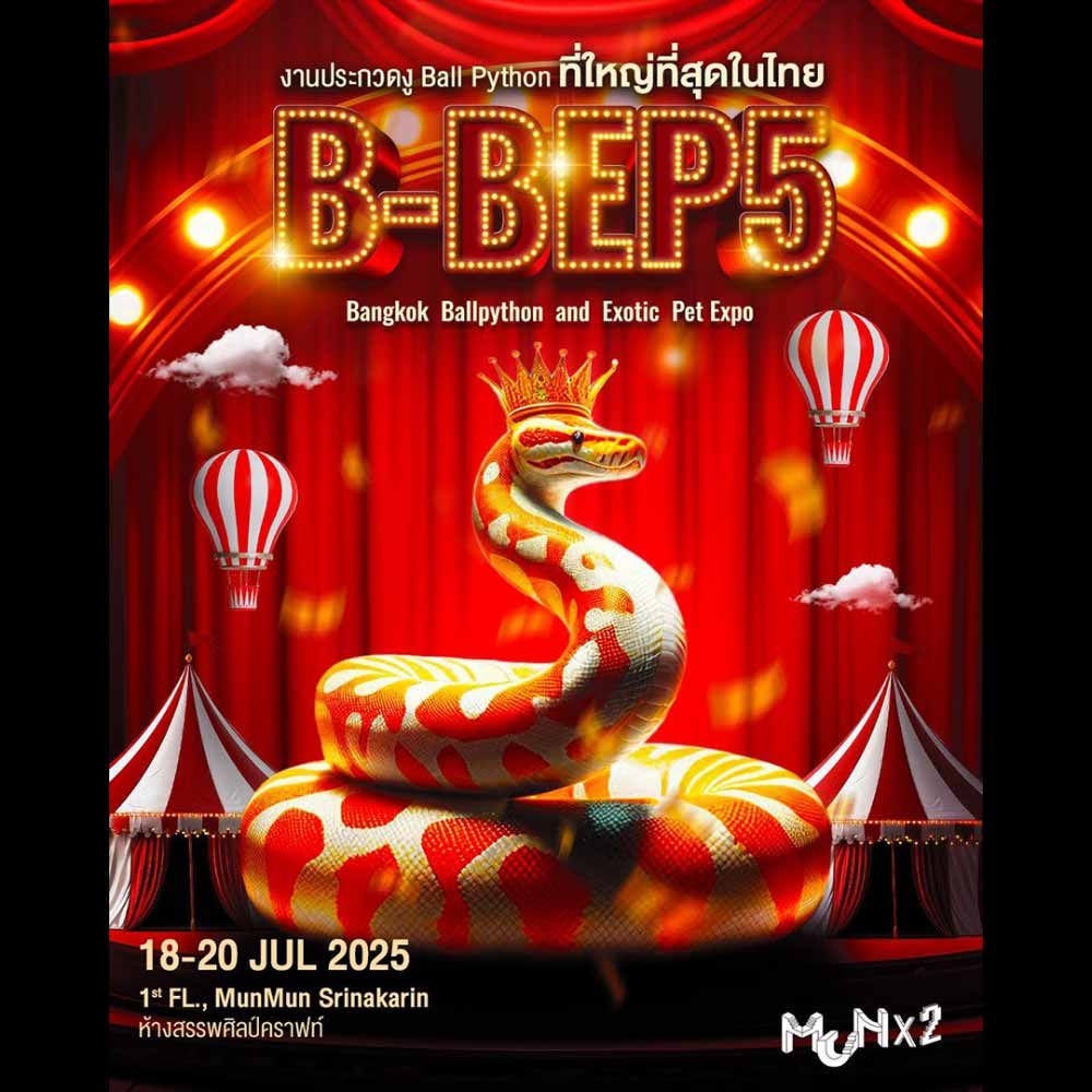 B-BEP5 : Bangkok Ballpython & Exotic Pet Expo ครั้งที่ 5
