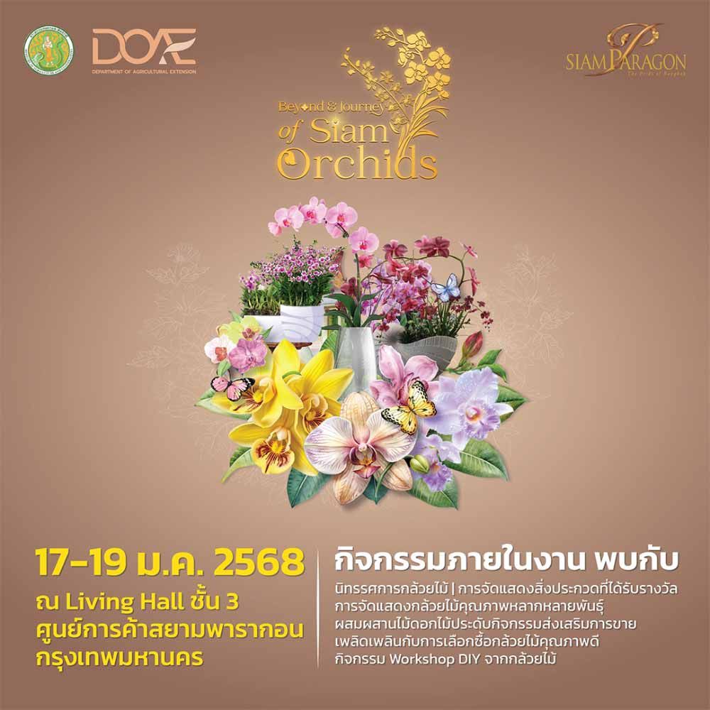 Beyond & Journey of Siam Orchids