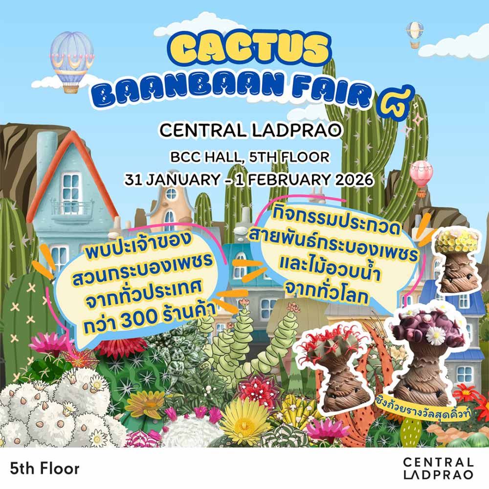 Cactus BaanBaan Fair 8