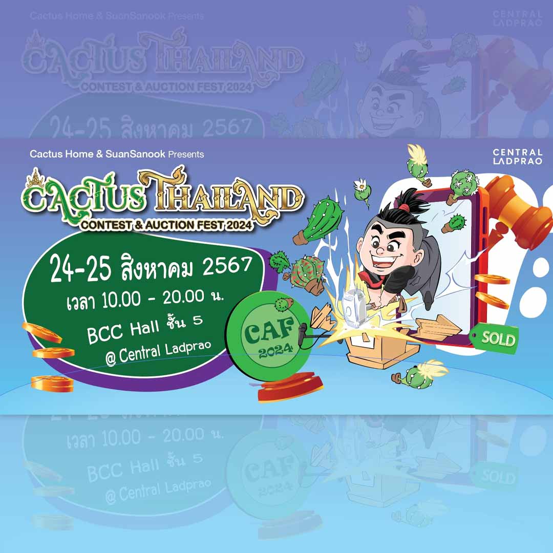Cactus Thailand Contest & Auction Fest 2024