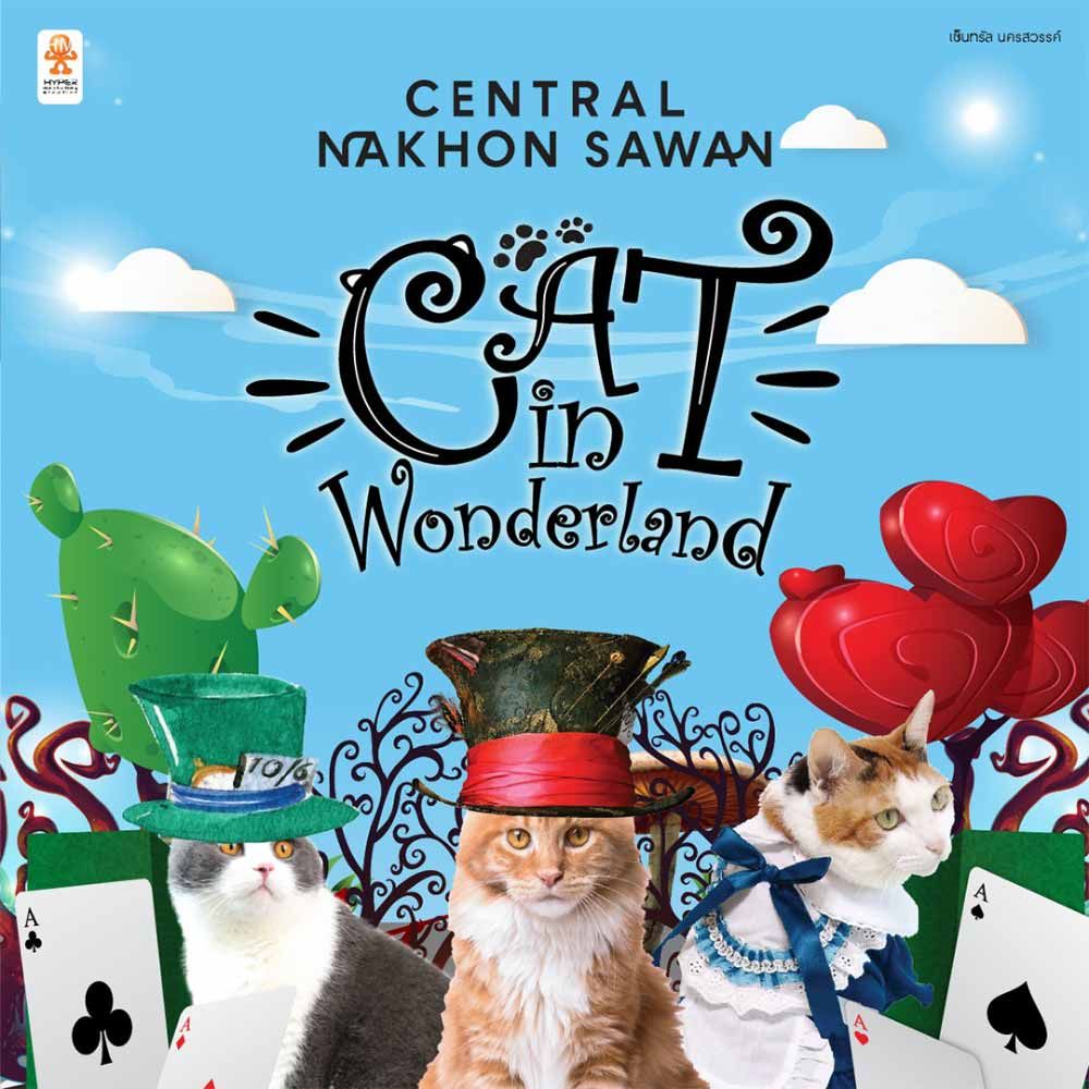 Cat in Wonderland