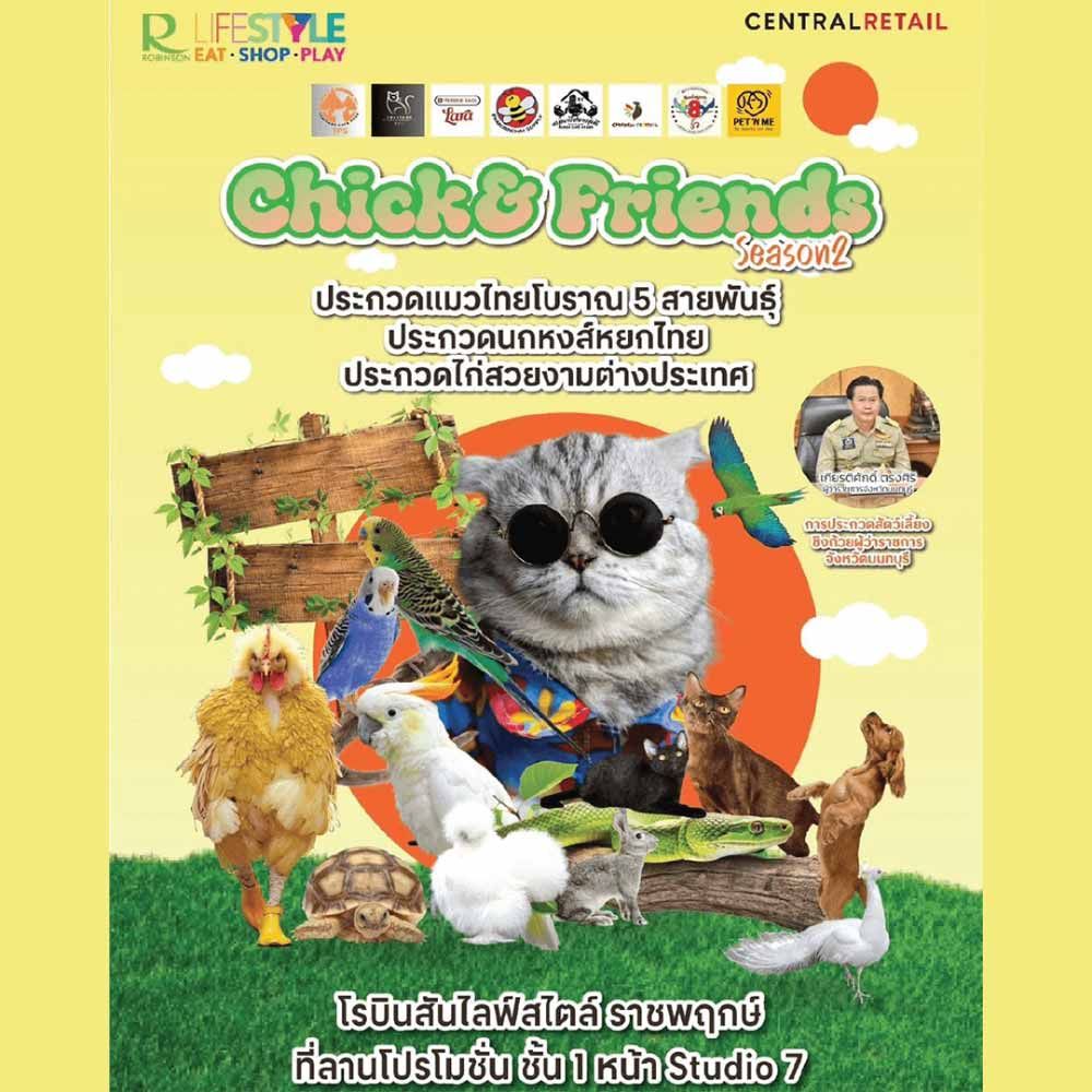 Chick & Friends Season 2