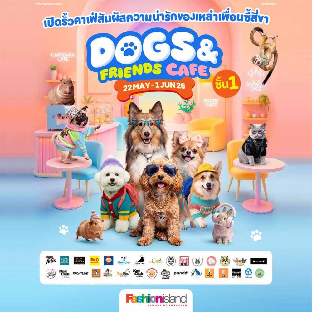 DOGS & FRIENDS CAFE