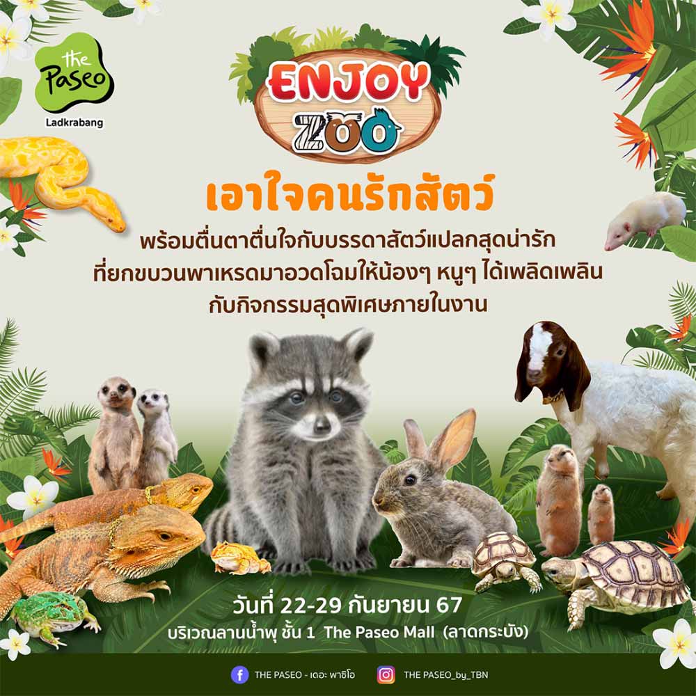 Enjoy Zoo
