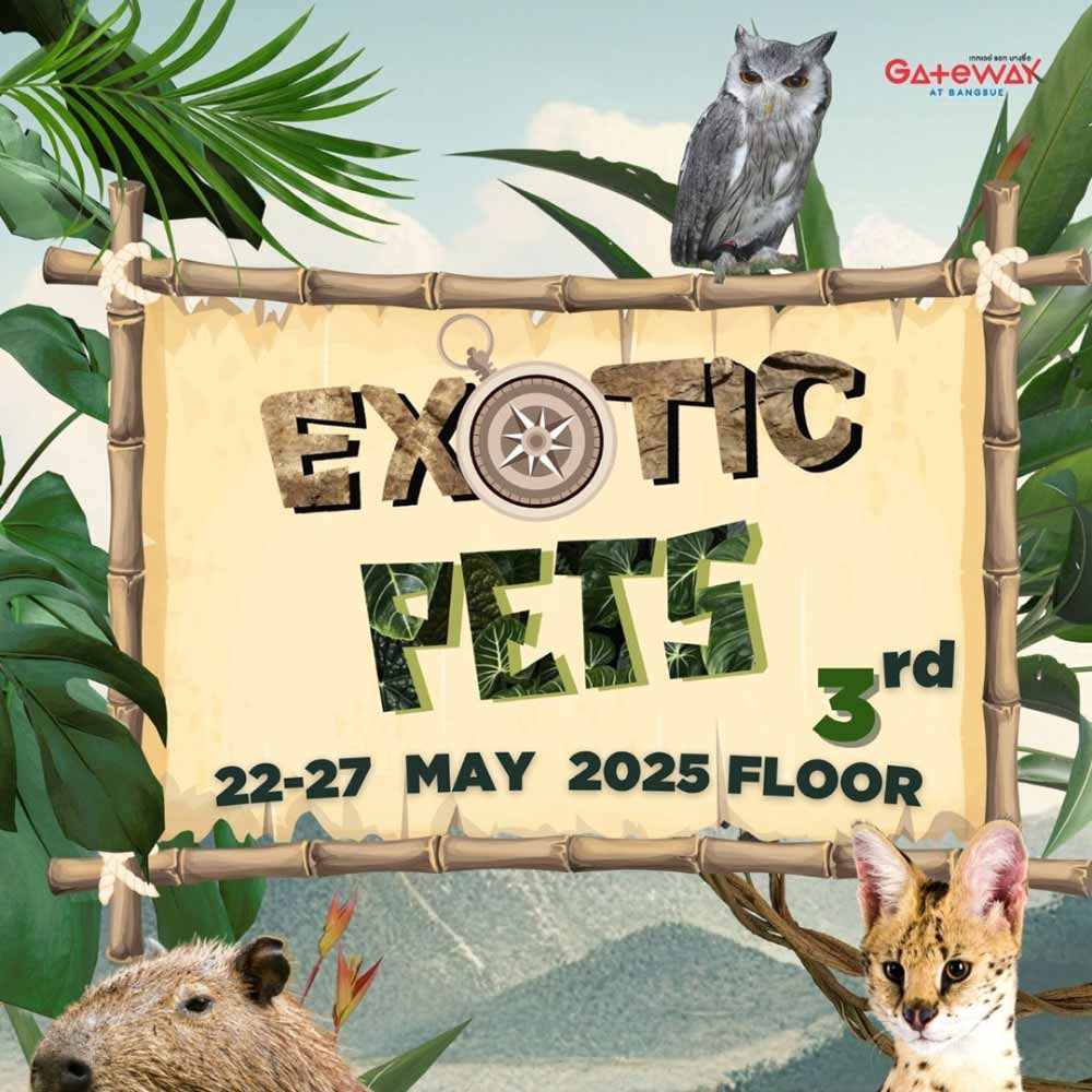 Exotic Pets