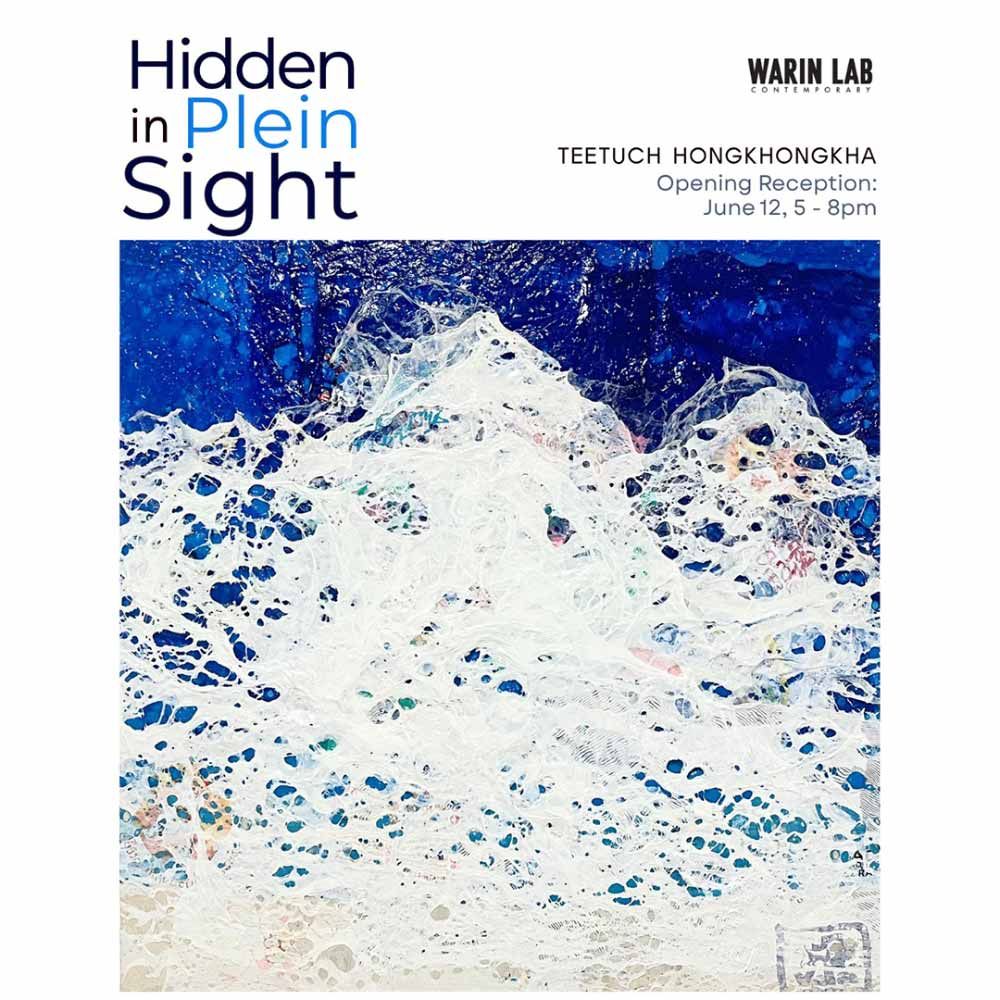Hidden in Plein Sight
