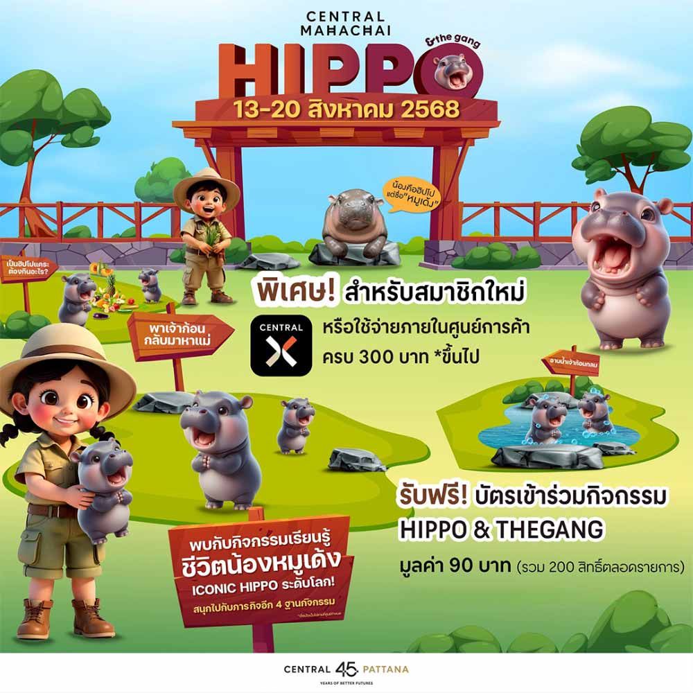 Hippo & The gang