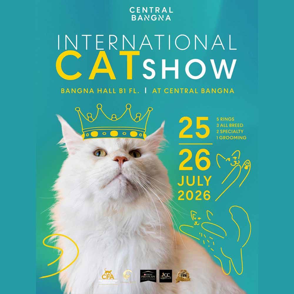 International Cat Show