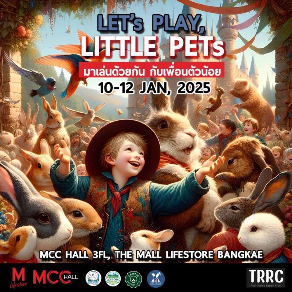 Let’s Play, Little Pets