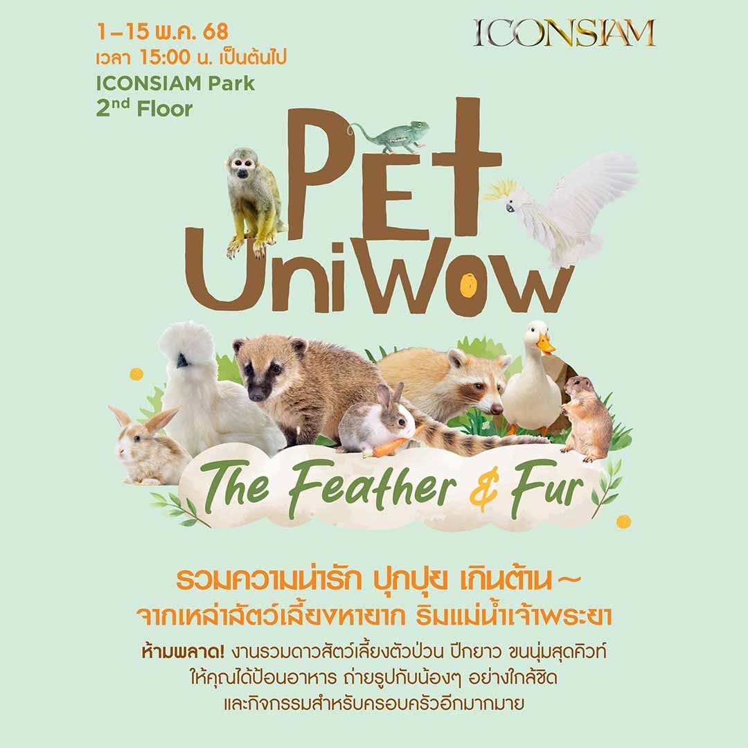 PET UNIWOW : The Feather & Fur