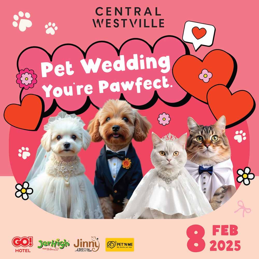 Pet Wedding You're Pawfect