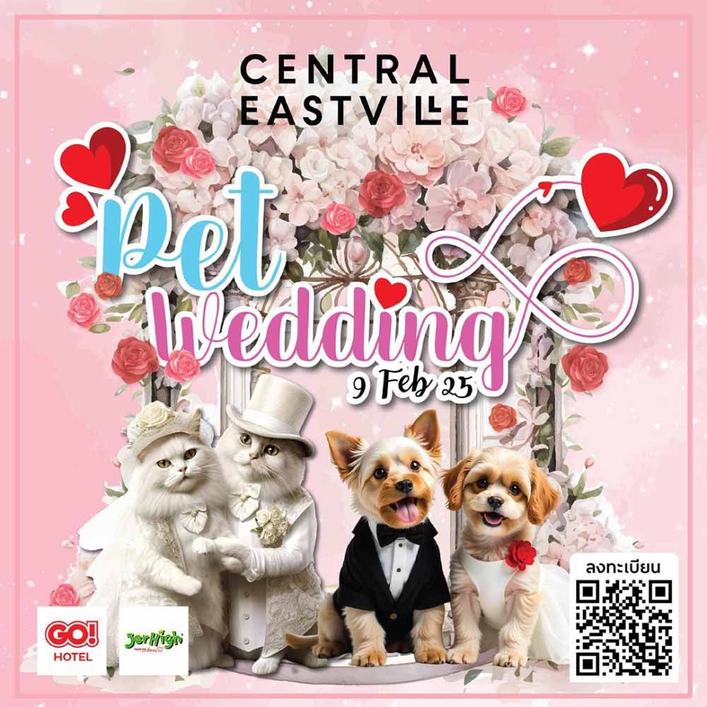 Pet Wedding