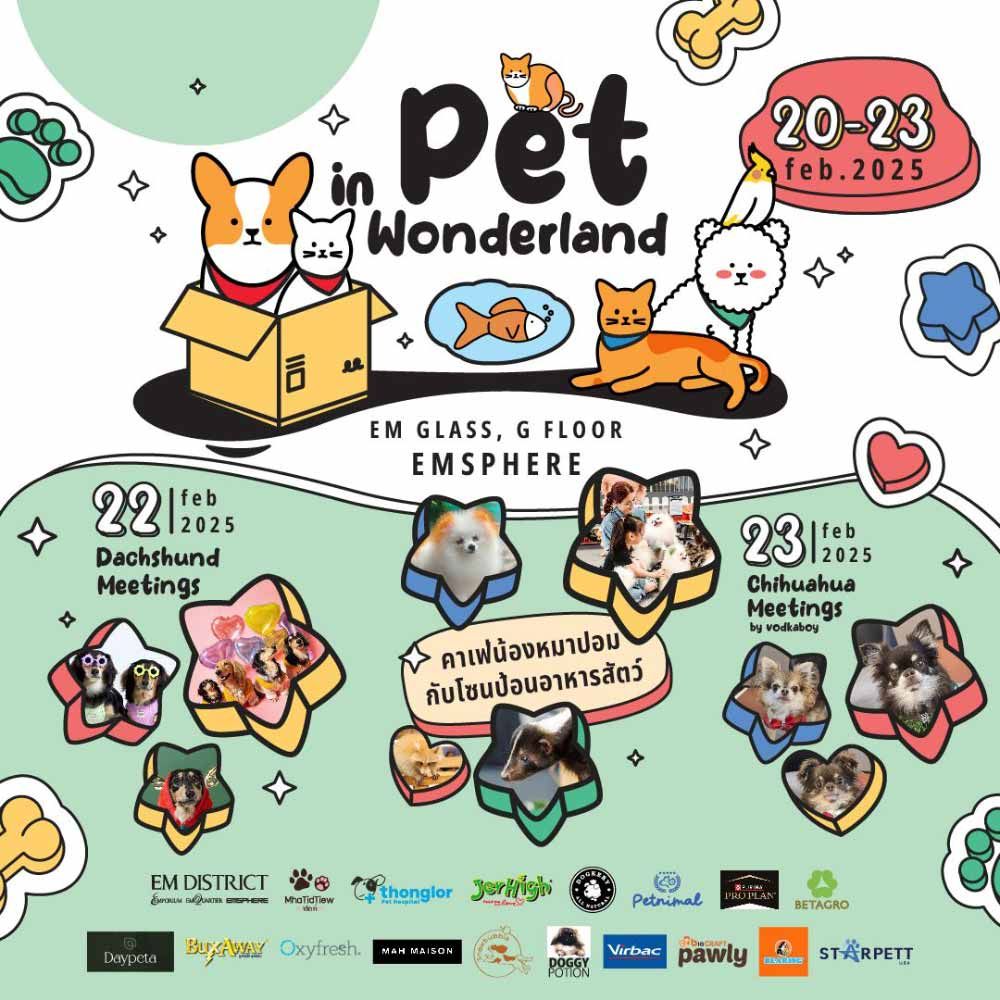 Pet in Wonderland