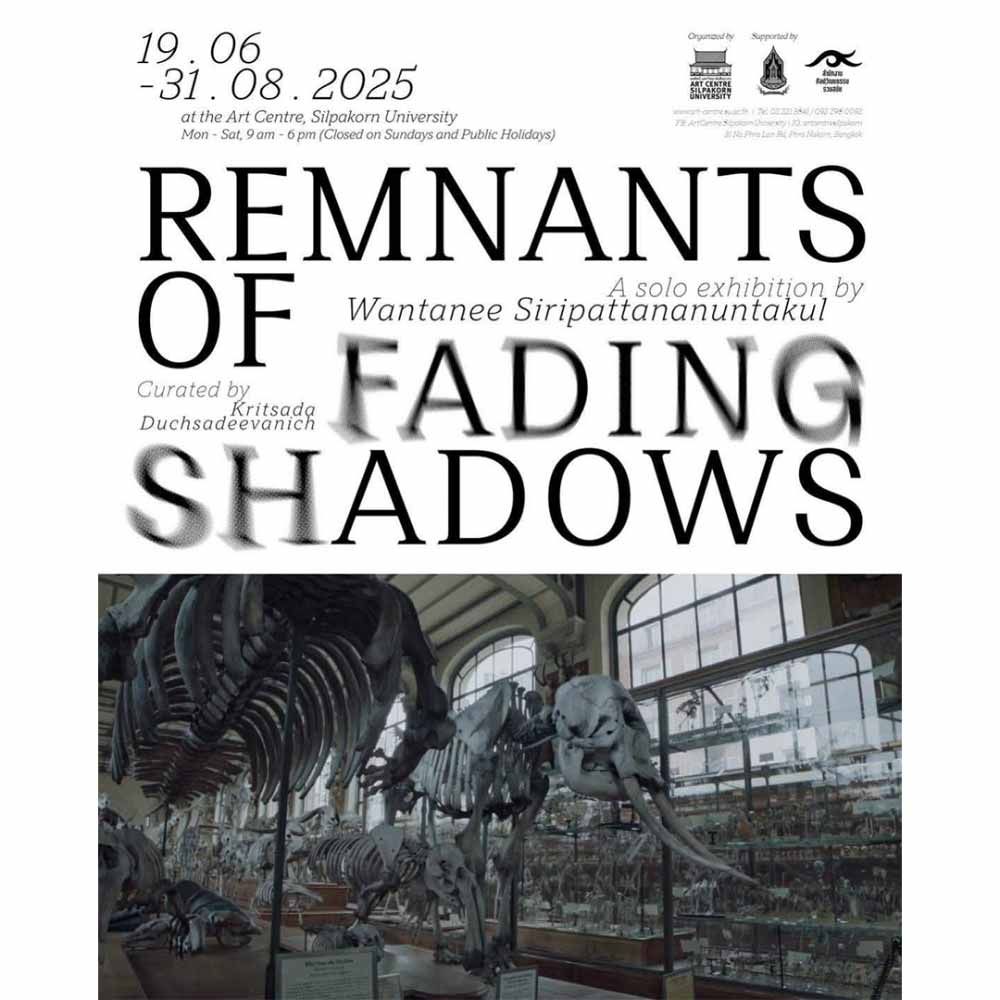 Remnants of Fading Shadows