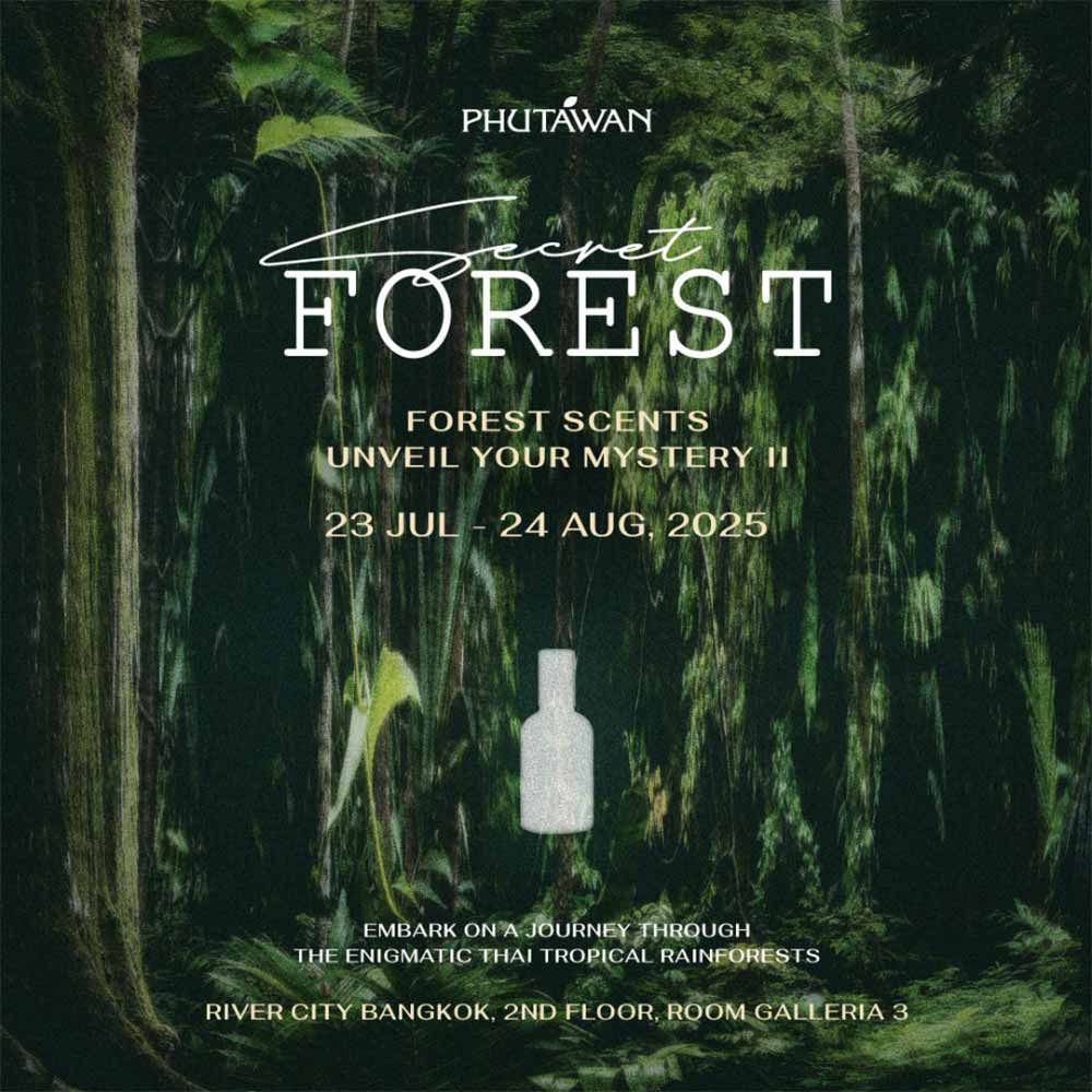 Secret Forest: Unveil Your Mystery II