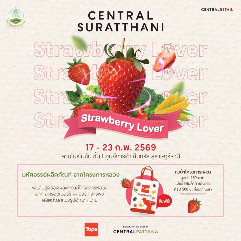 โครงการหลวง Strawberry Festival