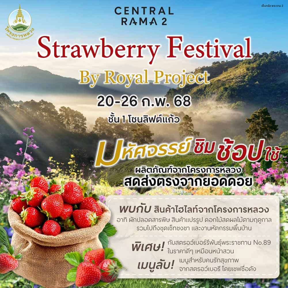 Strawberry Festival By Royal Project