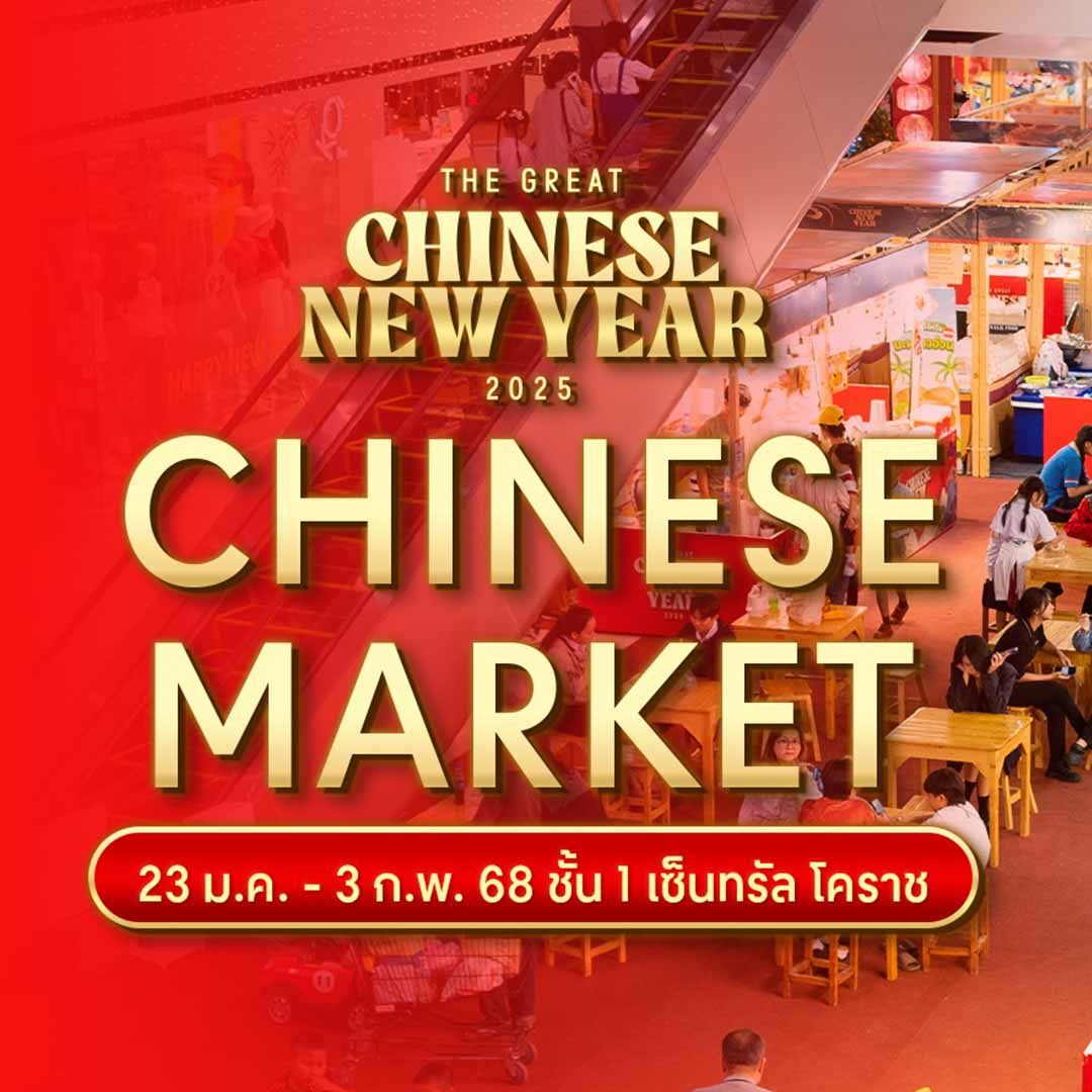 THE GREAT CHINESE NEW YEAR 2025 CHINESE MARKET