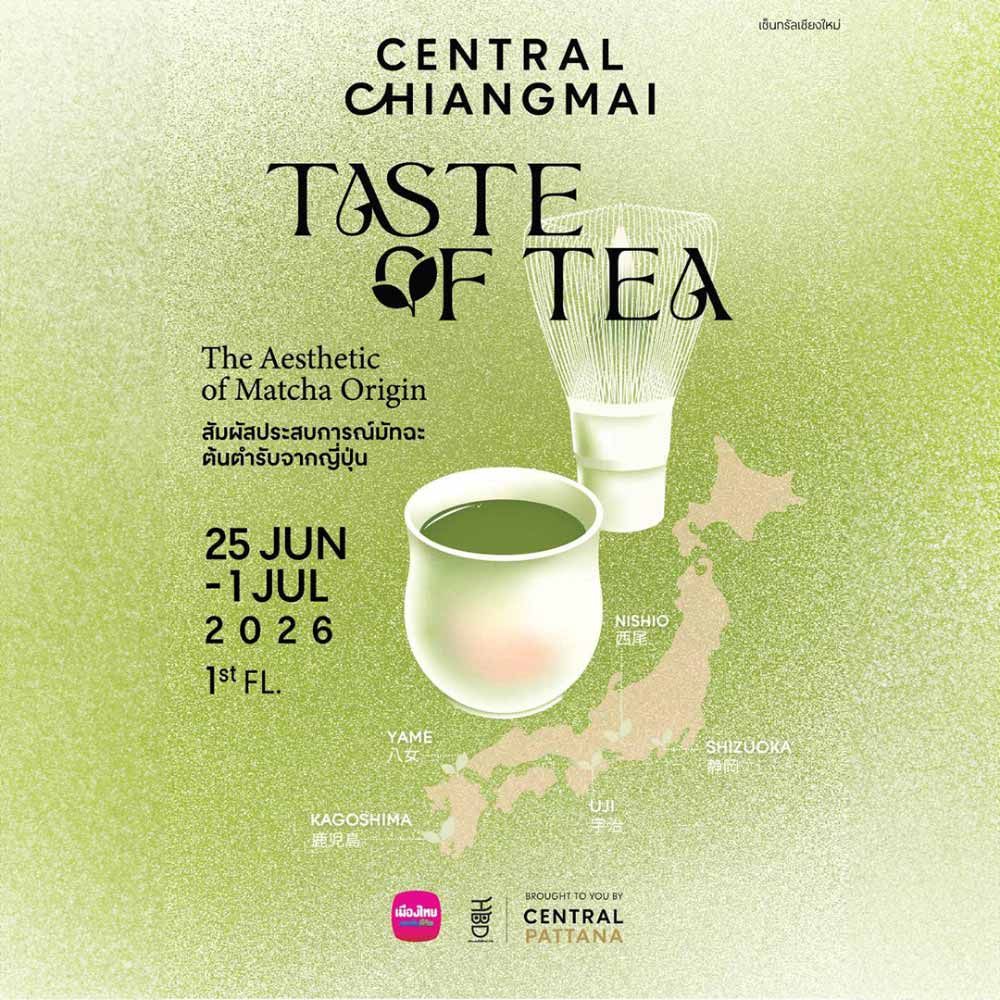 Taste of Tea : Chiangmai