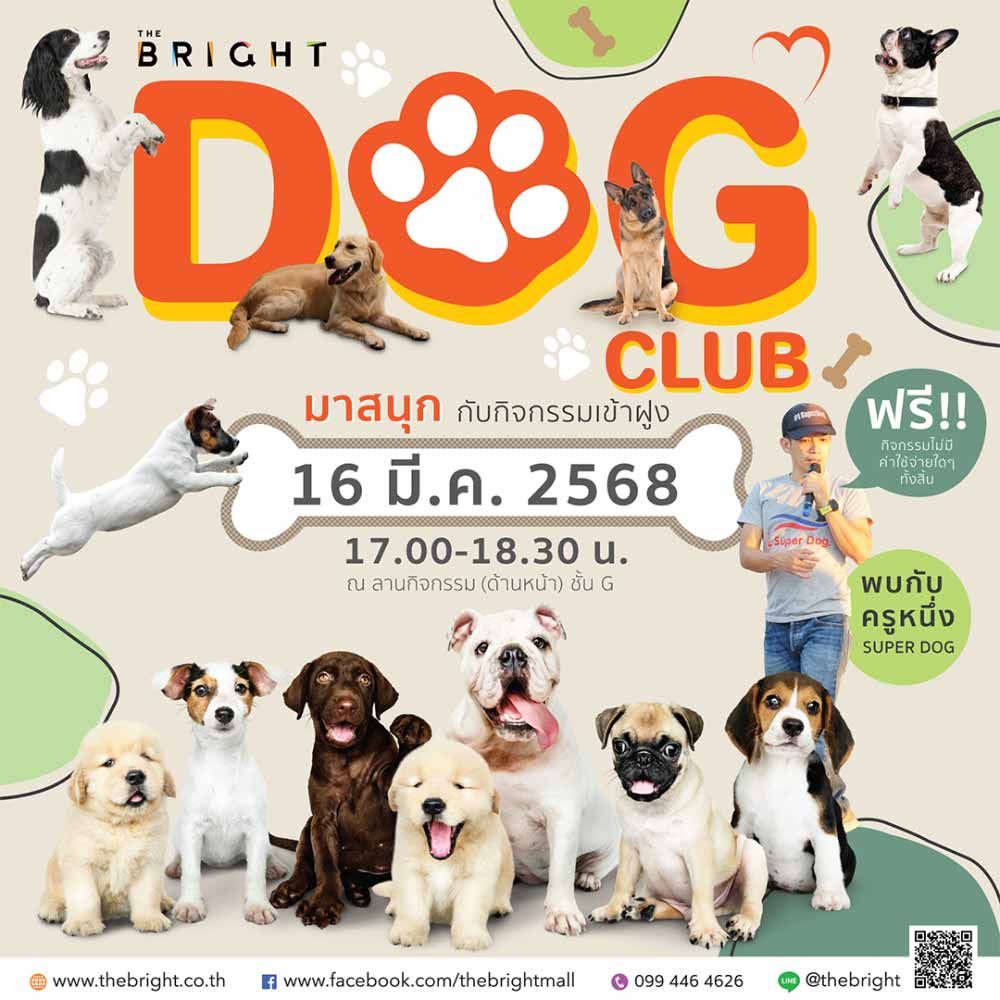 The Bright Dog Club