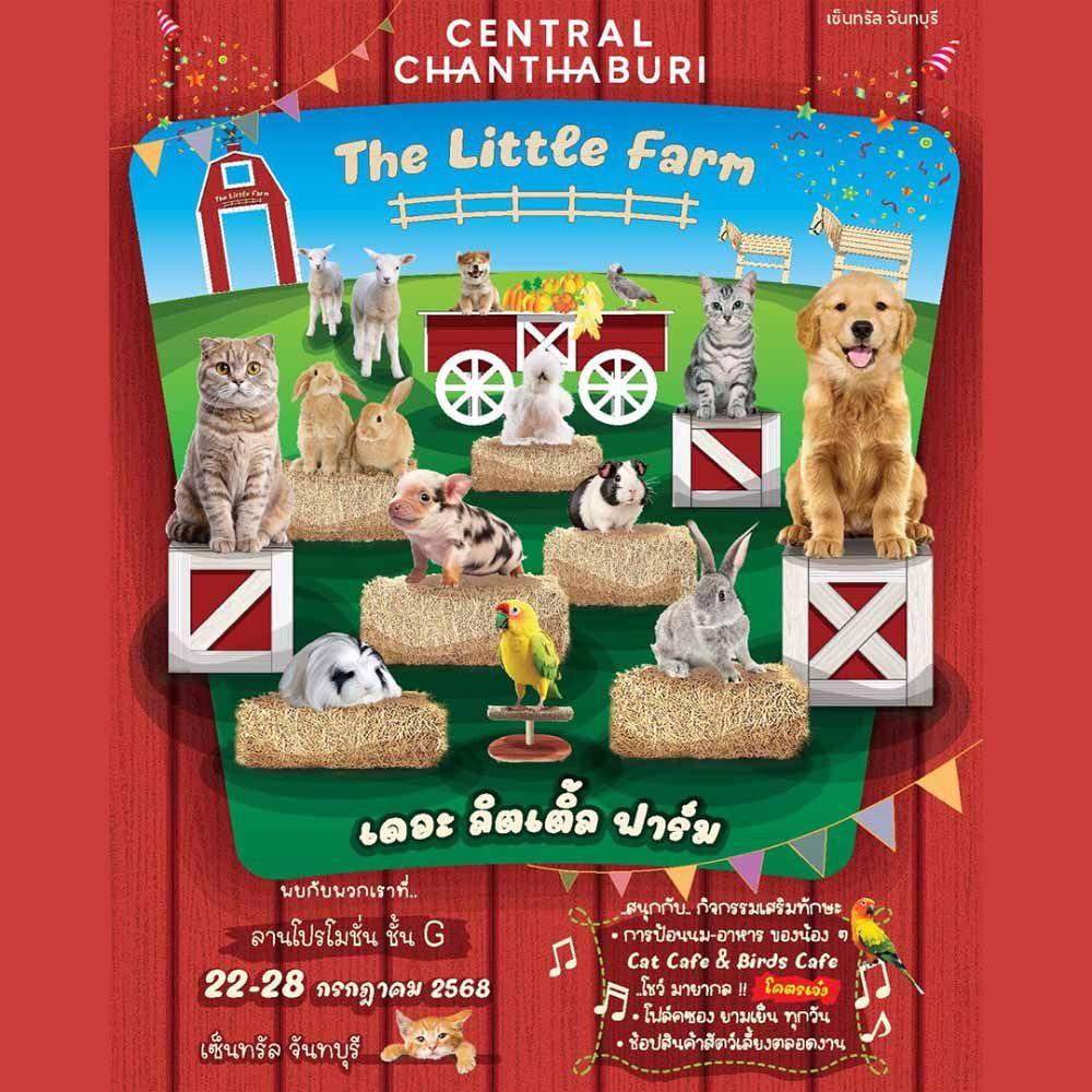 The Little Farm