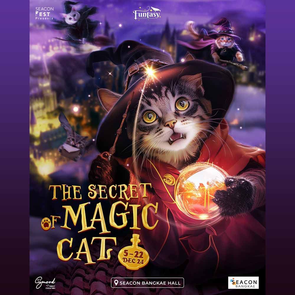 The Secret of Magic Cat