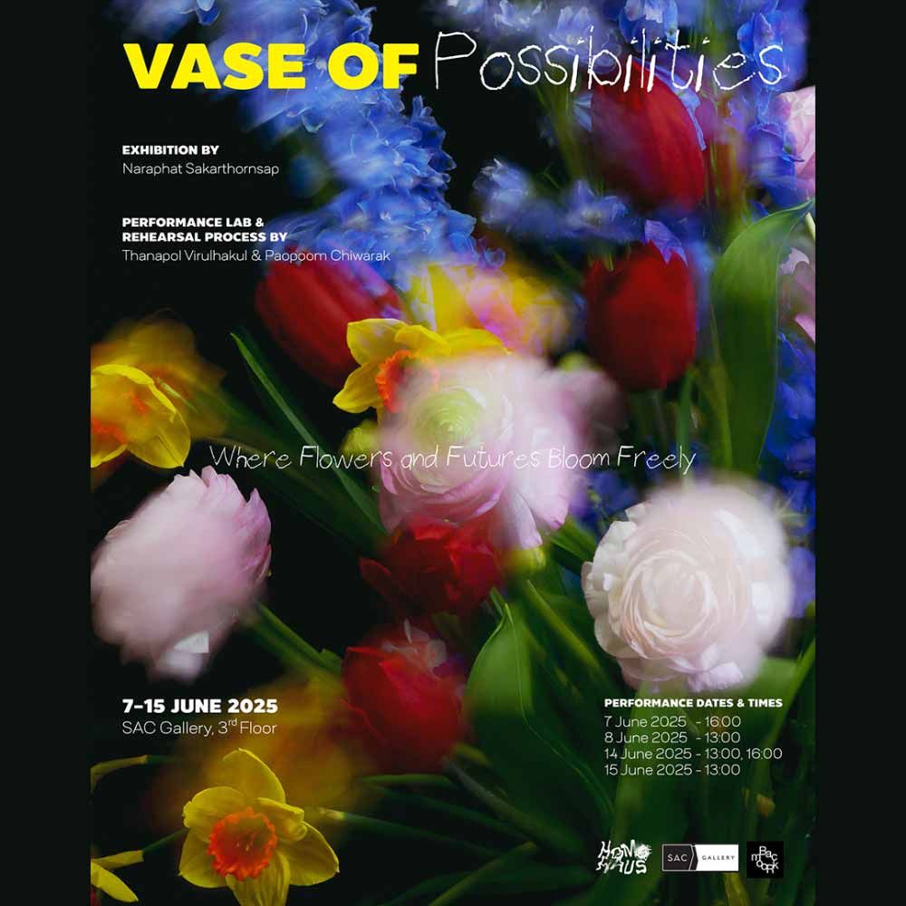 Vase of Possibilities