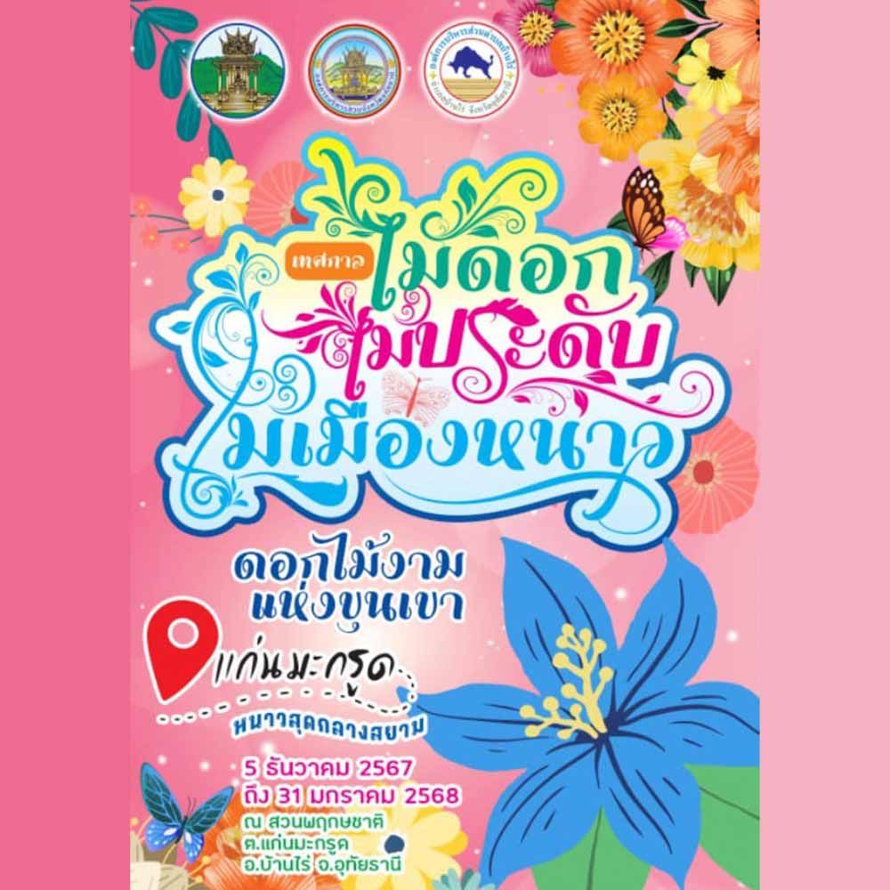 เทศกาลไม้ดอก ไม้ประดับ ไม้เมืองหนาว ดอกไม้งามแห่งขุนเขา แก่นมะกรูด