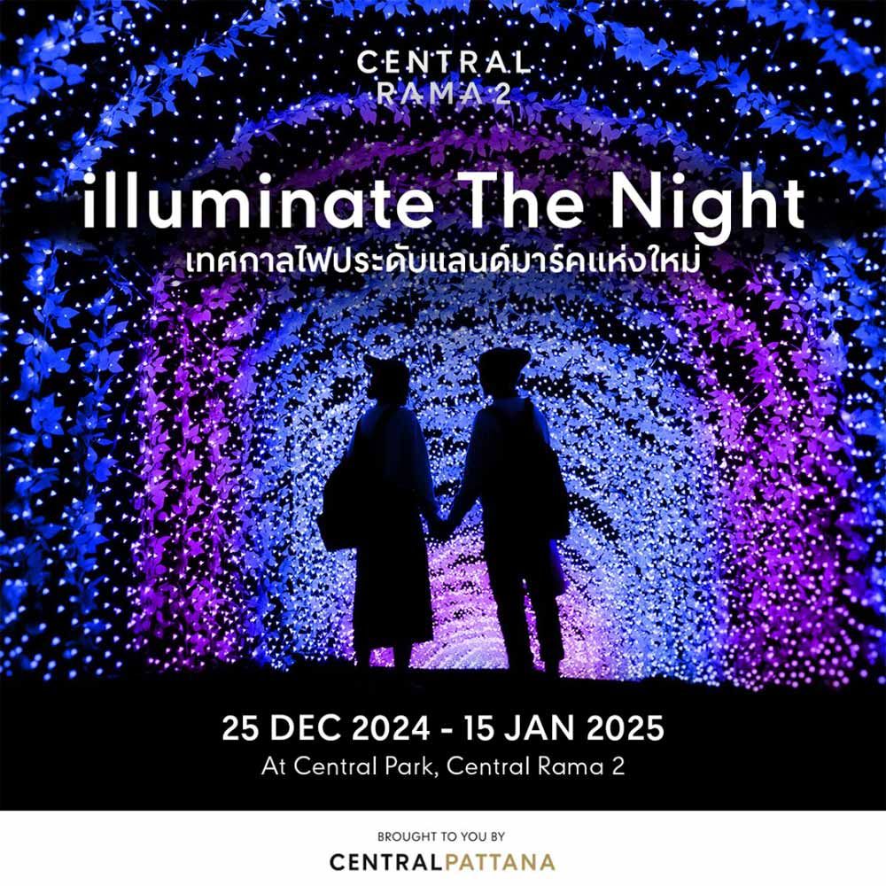 illuminate the Night